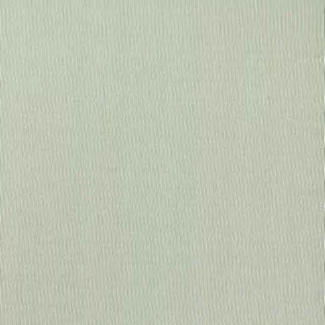 Clarke & Clarke Breton Fabric in Green