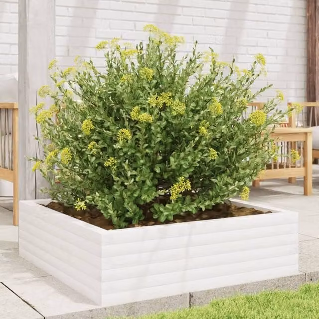 Berkfield Home Decorative White Garden Planter made from Solid Wood, W/D/H: 80 x 80 x 23 cm