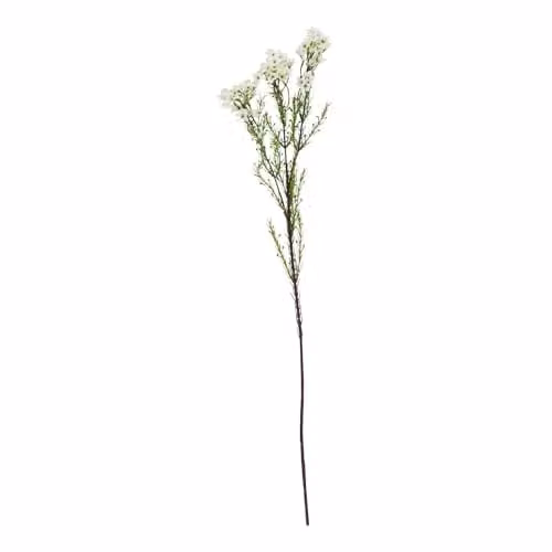 Hill Interiors Natural Garden Collection Waxflower Artificial Flower in White and Green