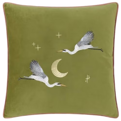 Paoletti Moonlit Flight Embroidered Velvet Cushion, Green, W/D/H: 45 x 45 x 45 cm