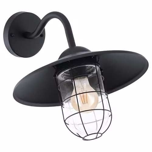 Eglo Melgoa Black Caged Outdoor Wall Light with Transparent Glass