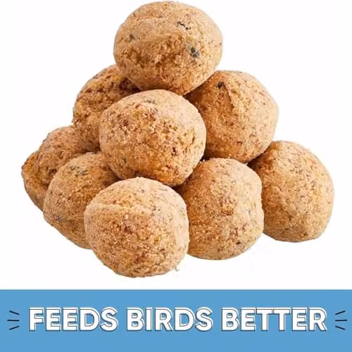 Thompson & Morgan Happy Beaks Bird Feeder Triple Pack with Seed Mix, Fat Balls and Peanuts in Black Metal – 3