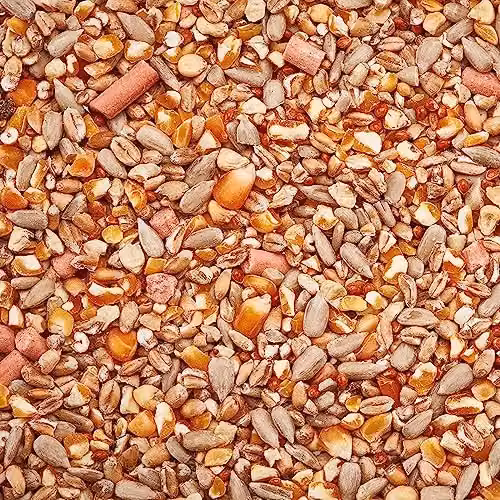 Happy Beaks No Mess Wild Bird Seed High Energy Premium Feed Mix, 28kg – 2