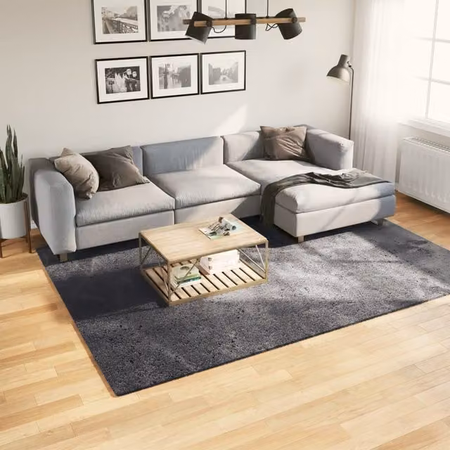 Berkfield Home Round Short Pile Soft and Washable Rug in Anthracite and Black, Diameter: 100 cm