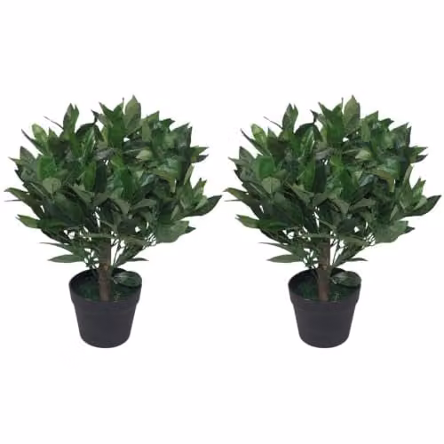 Leaf Design UK Pair of Artificial Green Bay Laurel Topiary Ball Trees, Height: 50 cm – 1
