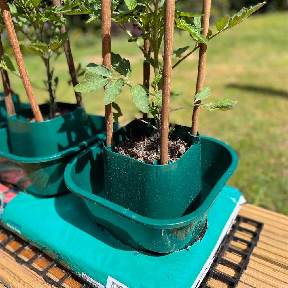 SPETLEK 6 Pack Green Bottomless Tomato Ring Grow Bag Watering Pots – 2
