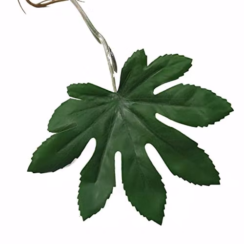 Leaf Design Multipack of 6 Green Artificial Hanging Trailing Aralia Plants, Length: 110 cm – 4