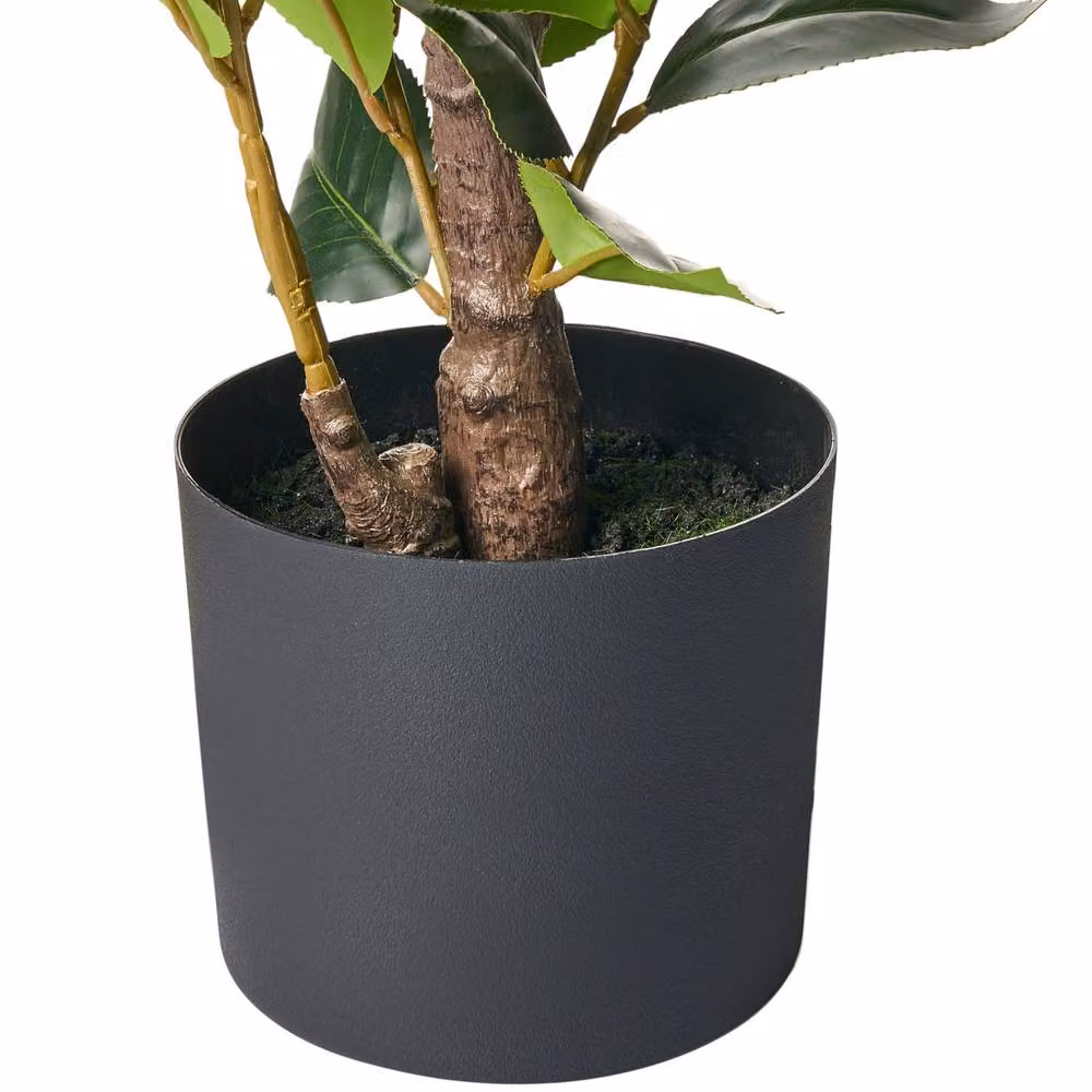 Wyld and Coco Green Artificial Potted Camellia Tabletop Plant, Height: 60 cm – 3