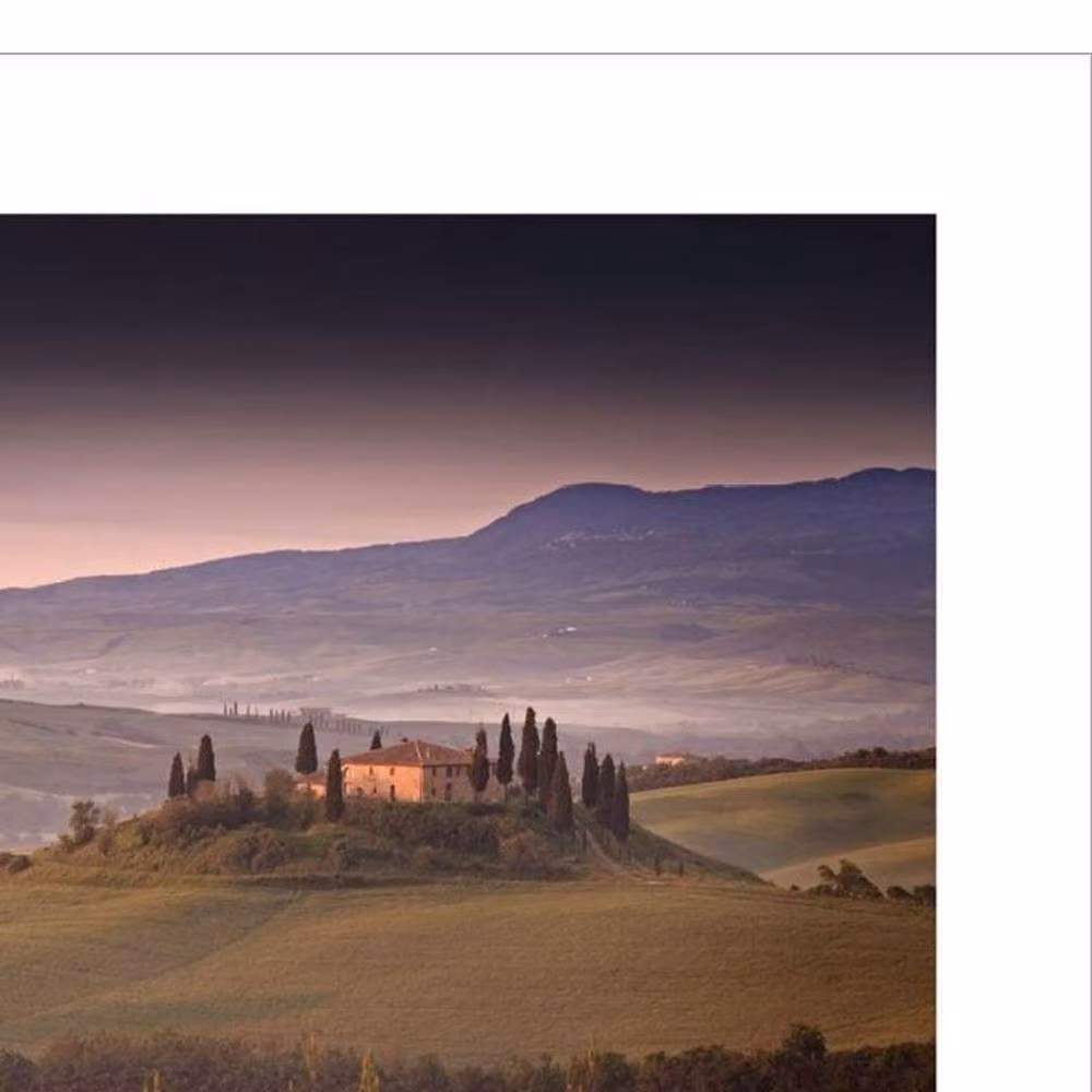 Rod Edwards First Light Tuscany Botanical Paper Poster in Green and Multicolour – 2