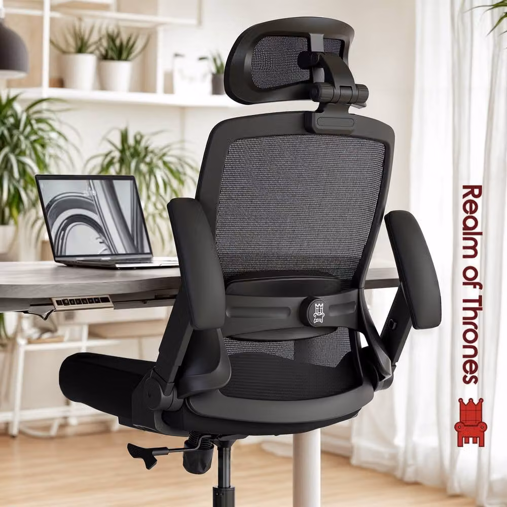 Realm of Thrones Ergonomic High Back Office and Gaming Chair in Black with 3D Headrest – 3