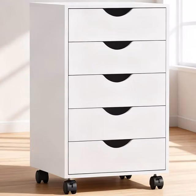 ERGOVEXA Five-Drawer Filing Cabinet in White