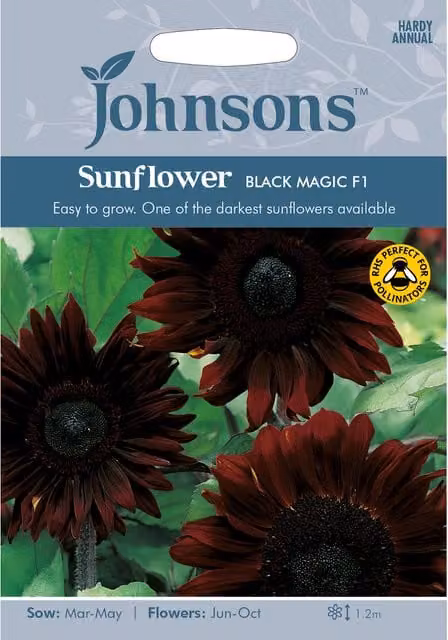 Johnsons Black Magic F1 Sunflower Seeds