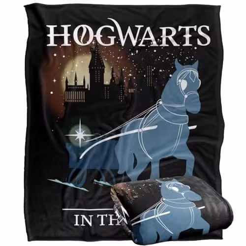 LOGOVISION Harry Potter Hogwarts Christmas in the Snow Super Soft Silky Touch Fleece Throw Blanket, Multicolour, W: 127 cm x L: 152.4 cm