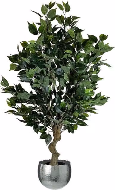 Leaf Large Realistic Artificial Ficus Silver Curve Tree, Green, Height: 62 cm