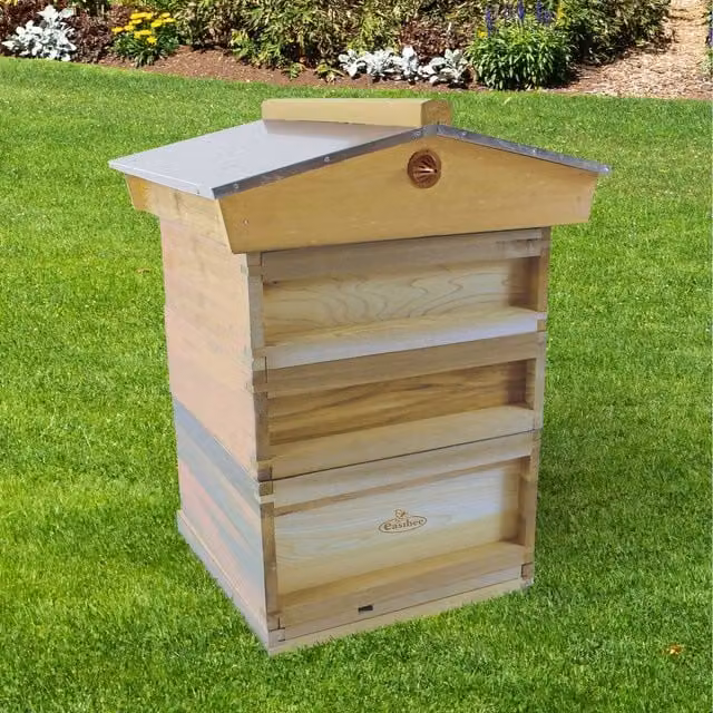 Actiasbee National Pine Beehive Starter Kit in Brown with Frames and Wax Foundation – 1