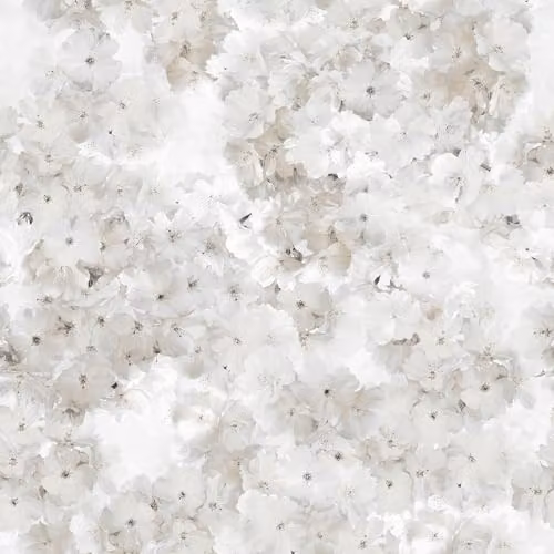 Muriva Apple Blossom Natural Floral Botanical Wallpaper in White