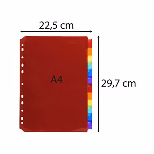 Exacompta Translucent Plastic A4 Dividers with 12 Blank Tabs in Multicolour – 3