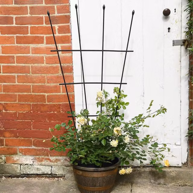 Garden Gear Black Steel Fan Pot Trellis Decorative Plant Support for Climbers