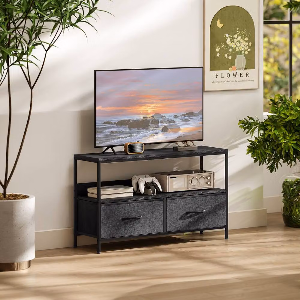 STILVORA Industrial Metal TV Stand in Matt Black with 2 Drawers and Shelf – 2