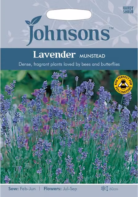 Johnsons Munstead Lavender Purple Flower Seeds