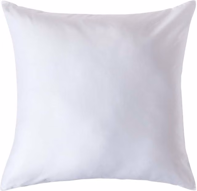 Homescapes Organic Egyptian Cotton Pillowcase, White, W: 80 cm