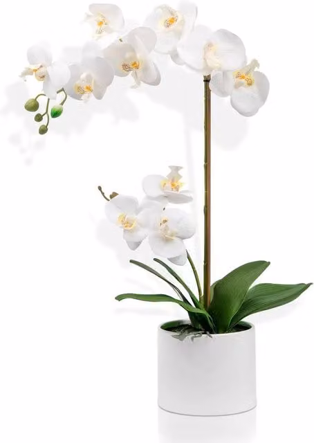 Crystals White Artificial Orchid Flower in Pot, Height: 55 cm