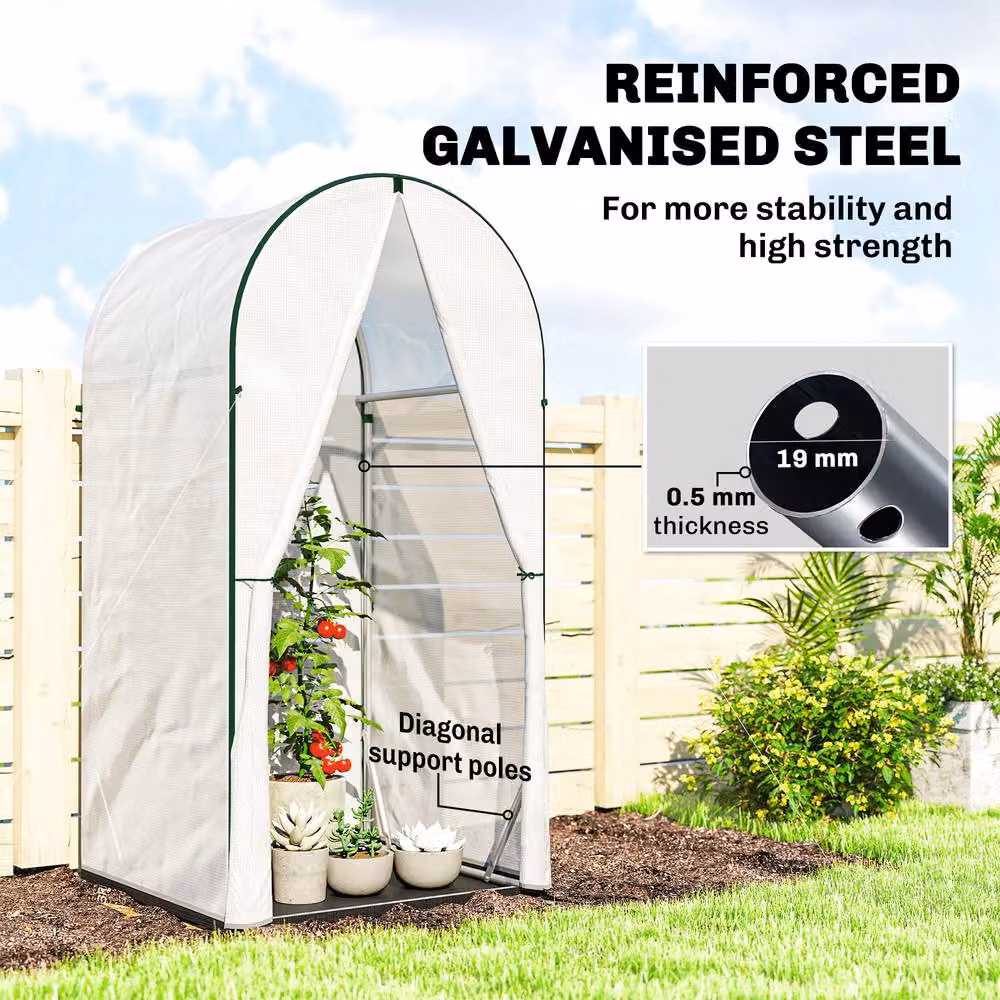 OUTSUNNY Mini Greenhouse with PE Base in White, W/D/H: 100 x 100 x 195 cm – 3