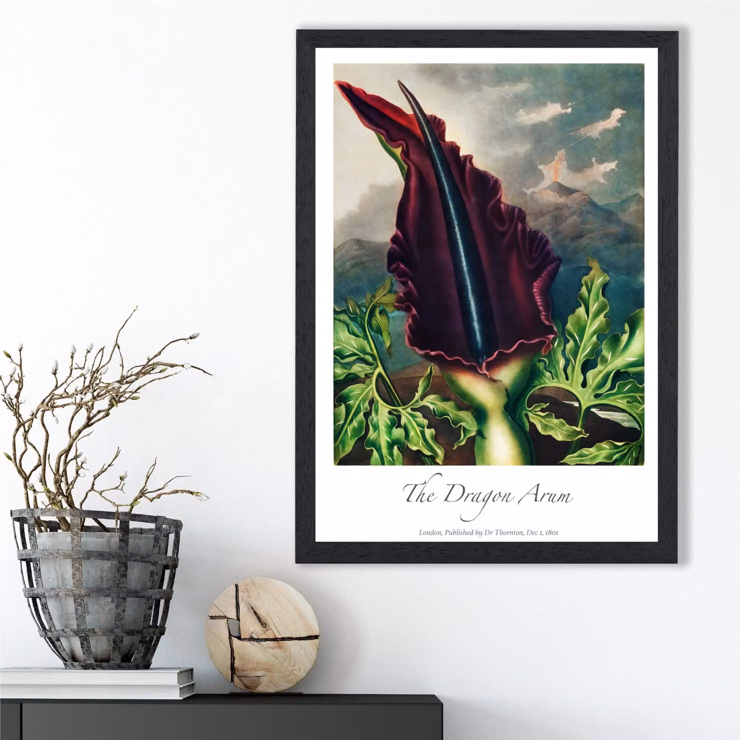 ARTZE Dragon Arum Flower Framed Botanical Print in Purple and Green, A2 Size – 2