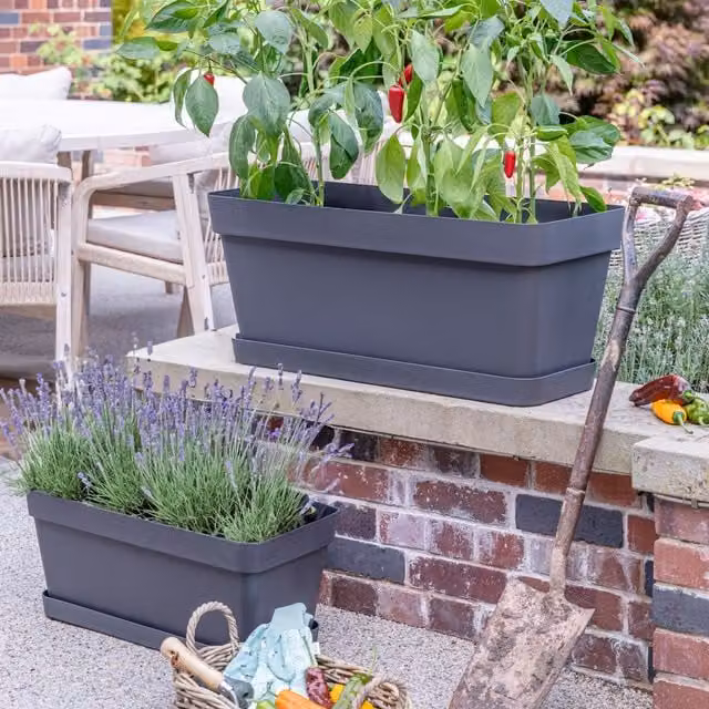 Ivyline Cleo Rectangle Flower Box Anthracite with Jet Black Wheels, Width: 60 cm