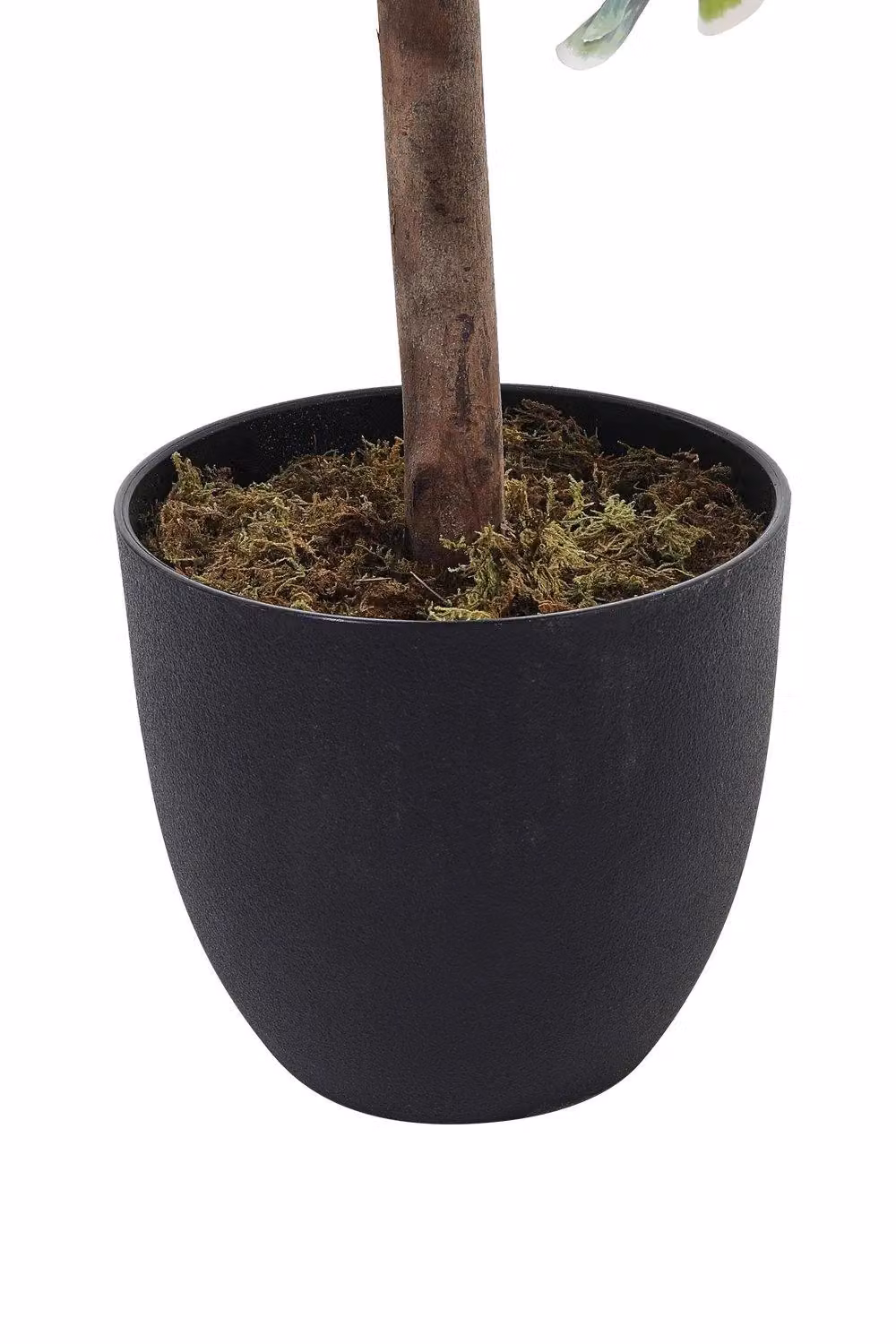 H&O Direct 185cm Artificial Zamioculcas Potted Decorative Plant in Green – 2