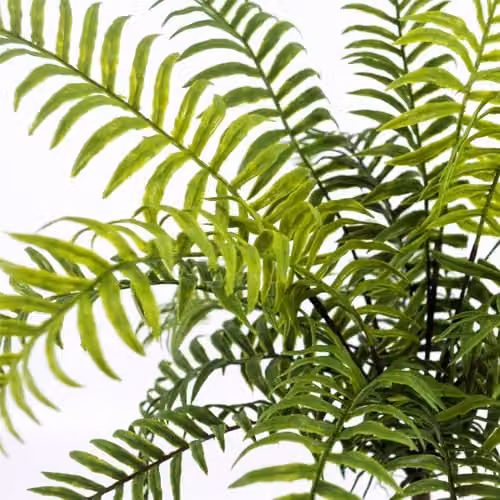 Leaf Design UK Artificial Boston Fronded Fern Plant, Green, Height: 50 cm – 2
