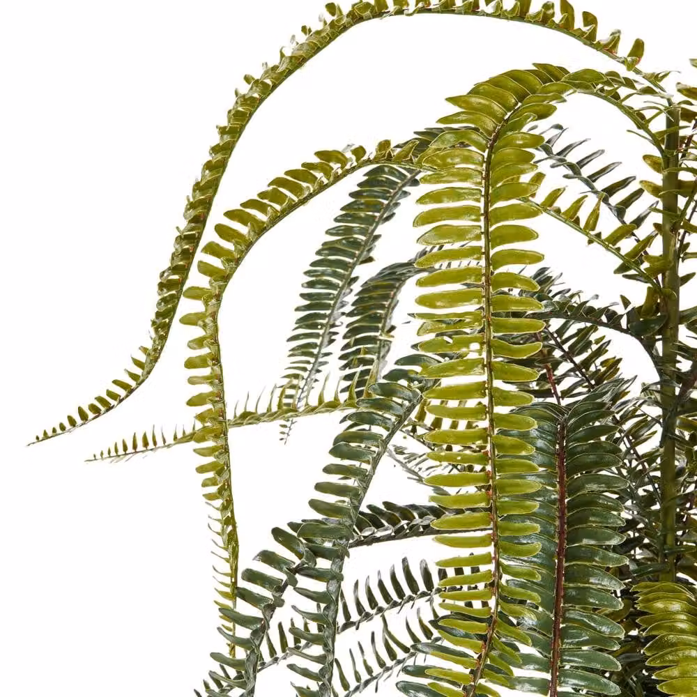 Wyld and Coco Lifelike Evergreen Potted Fern in Green with Concrete Base, Height: 105 cm – 2