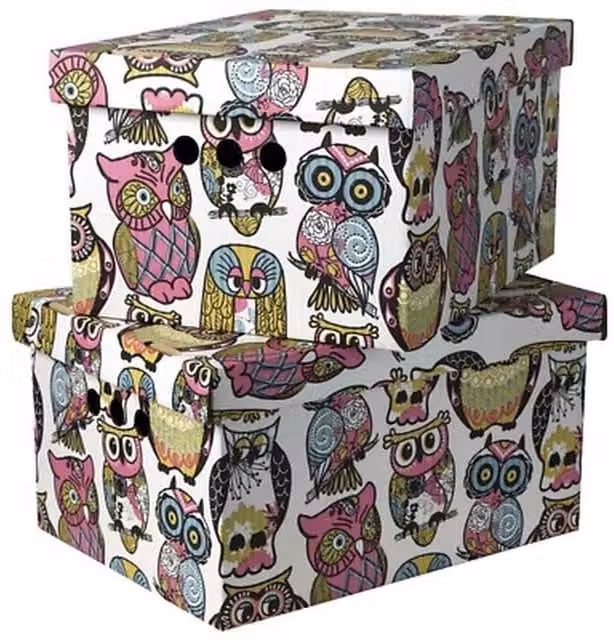 NESTLUNE 2-Piece Multicolour Decorative Cardboard Storage Boxes with Lids for your Home or Office