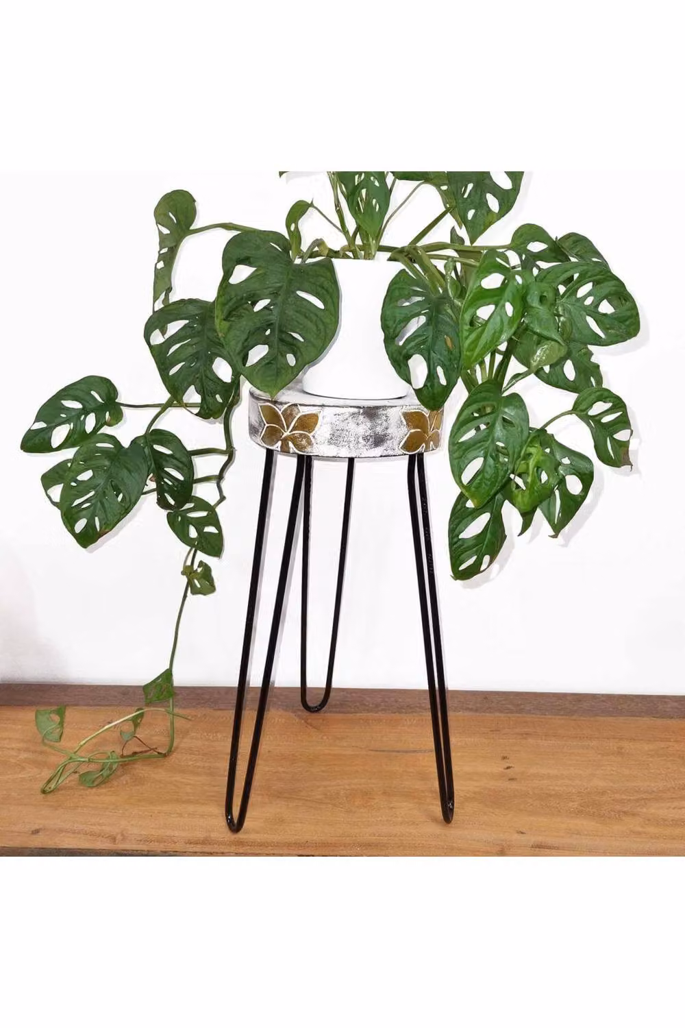 KDMD White Albasia Wood Plant Stand with Rustic Matt Finish – 2
