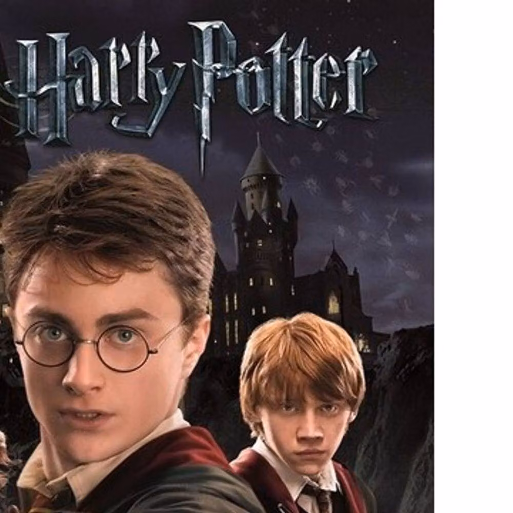 Harry Potter Harry, Ron and Hermione Multicolour Paper Poster in Black – 2
