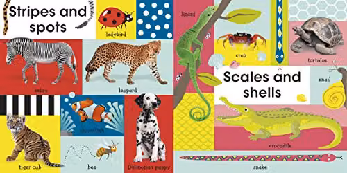 DK 100 First Animals Multicolour Cardboard Book – 4