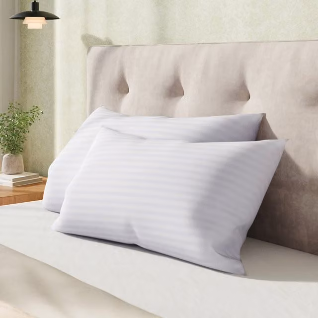 Garden Sanctuary 2 Pack White Rectangular Polyester Striped Pillow Inserts