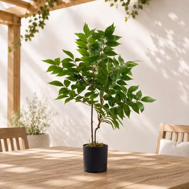 Leaf Artificial Toona Sinensis Potted Tree in Green, Height: 65 cm