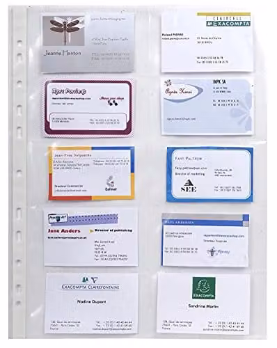 Exacompta Transparent Polypropylene A4 Punched Pockets for Business Cards