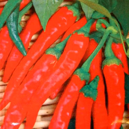 Meingartenshop Cayenne Pepper Vegetable Seeds, Red