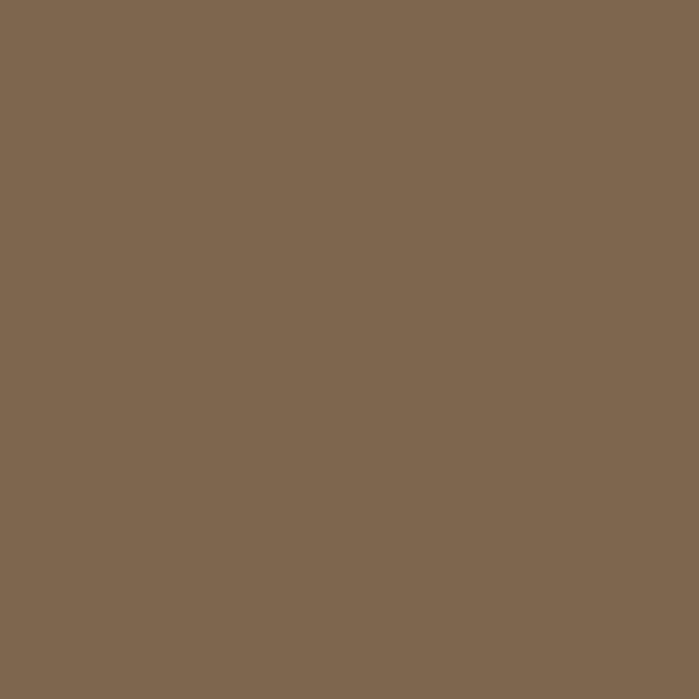 CAREX Paint 101 Swatch in Brown