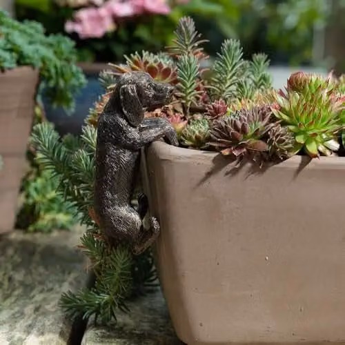 Jardinopia Dachshund Hanging Plant Pot Hanger, Bronze, W: 5.5 cm, L: 10.5 cm, H: 5 cm
