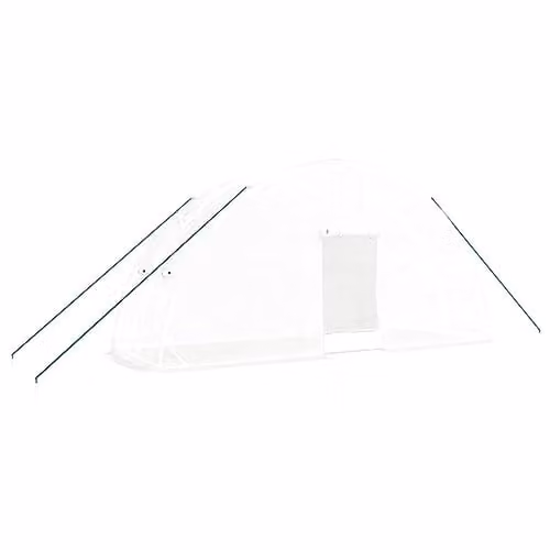 vidaXL Greenhouse with White Steel Frame, 12 m², W: 6 m, D: 2 m, H: 2.85 m