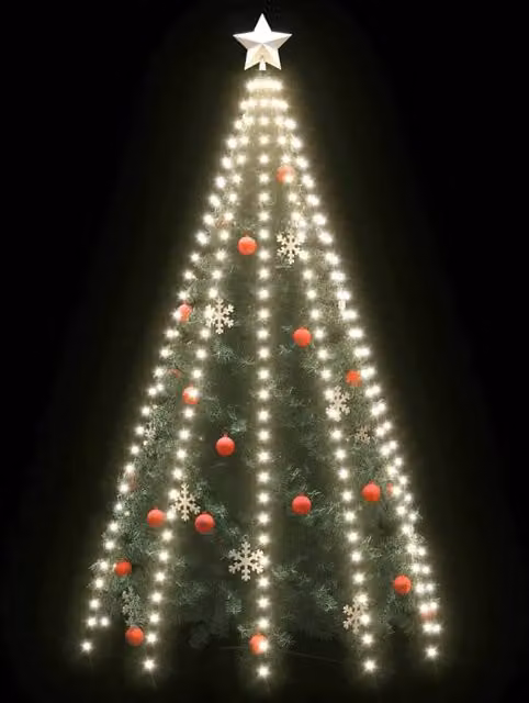 Berkfield Home Christmas Tree Net Lights with 300 Cool White LEDs, 300 cm, Green