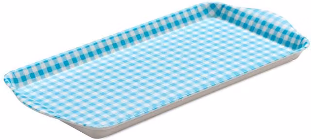 Zeal Melamine Gingham Sandwich Serving Tray with Handles, Aqua Blue, 28 x 15 cm – 1