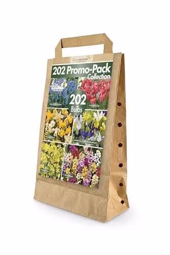 GreenBrokers 202 Mixed Spring Flower Bulbs, Multicolour Bee-Friendly Bulb Collection