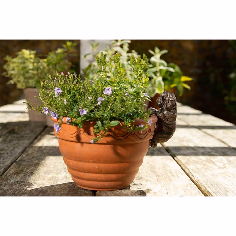 Jardinopia English Bulldog Hanging Plant Pot in Bronze – 2