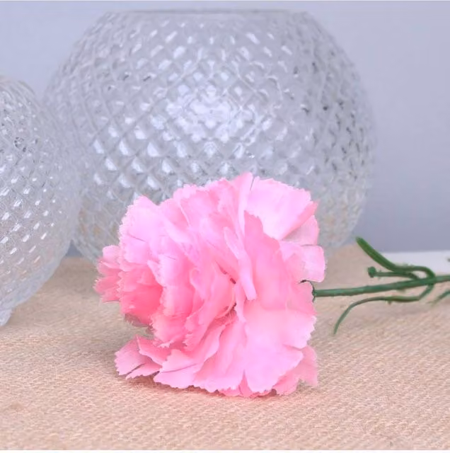 KDMD Pink Single Carnation 2 Pack of 12 Stems