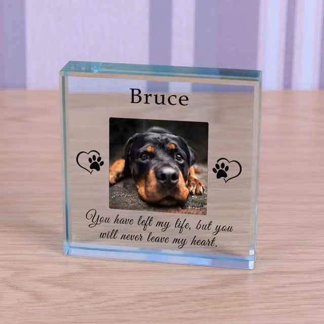 Uniqueful Personalised Never Leave My Heart Pet Memory Glass Token in Transparent and Beige