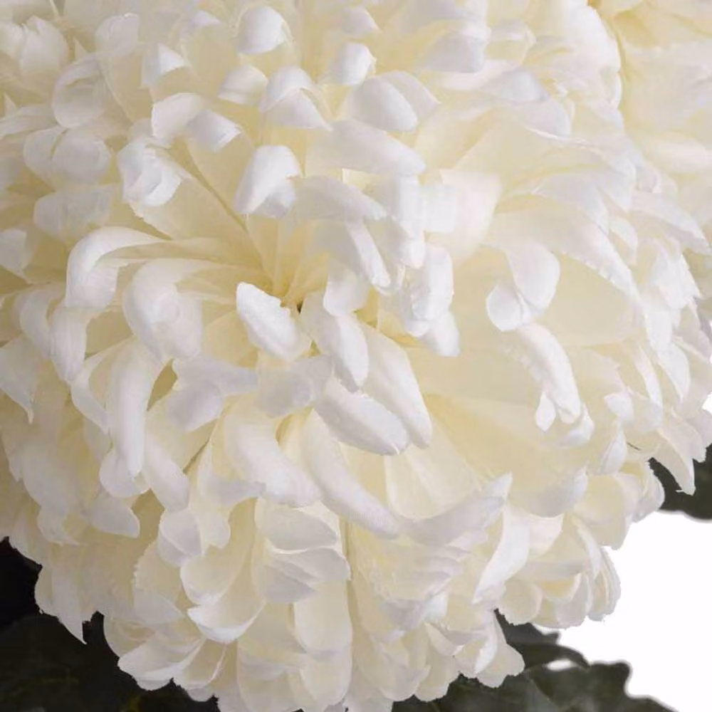 Lemon Pavilion Large White Chrysanthemum Artificial Flower, W: 15 cm, D: 15 cm, H: 87 cm – 4